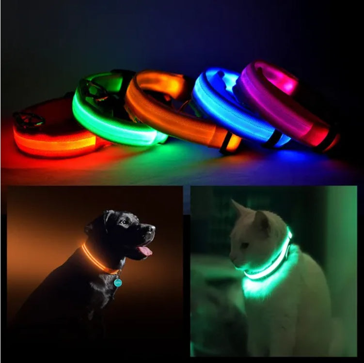 Sicherheitshalsband für Haustiere mit LED-Licht