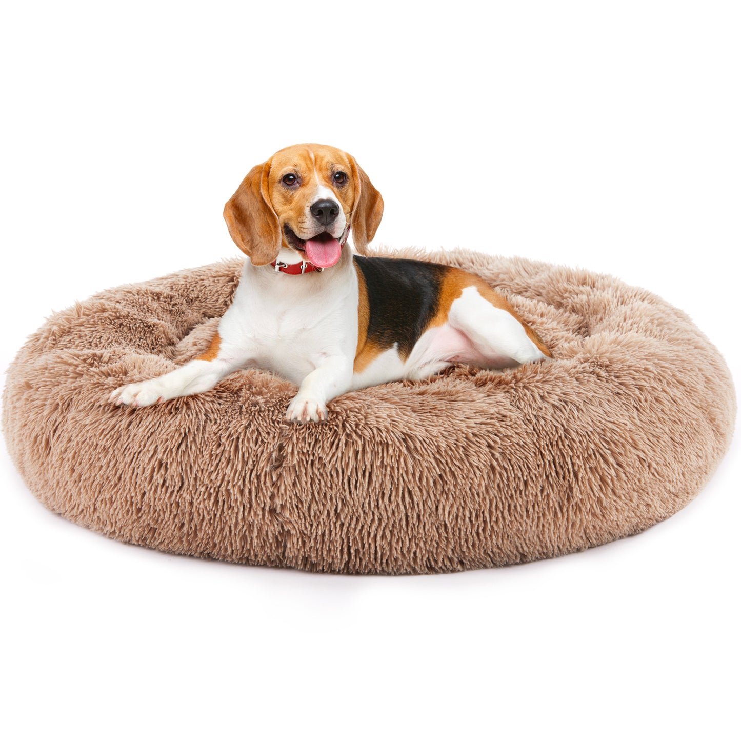 Kuschliges Hundebett