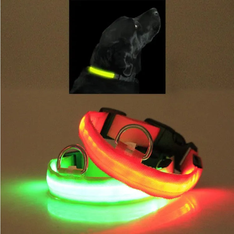 Sicherheitshalsband für Haustiere mit LED-Licht