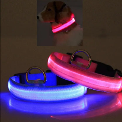 Sicherheitshalsband für Haustiere mit LED-Licht