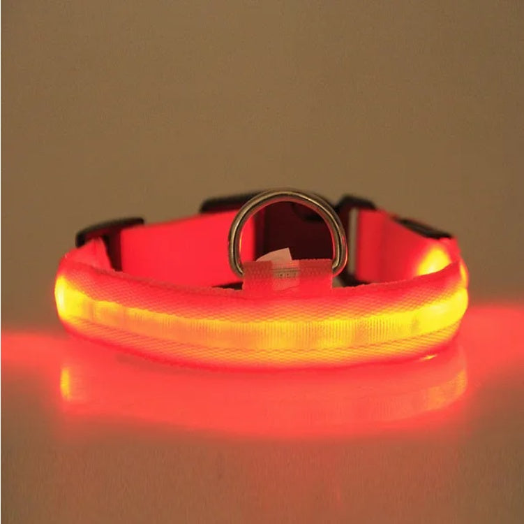 Sicherheitshalsband für Haustiere mit LED-Licht